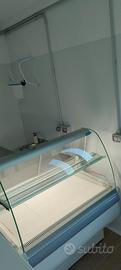 CELLETTA  FRIGO ESPOSITORE
