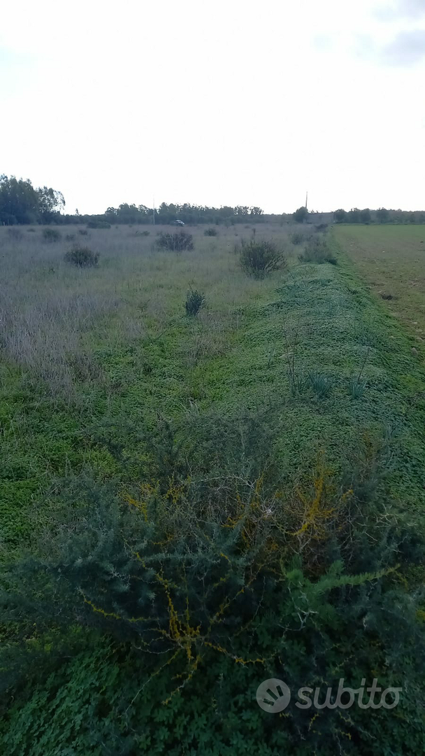 Terreno agricolo - Vista 2