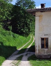 Terreni Boschivi Valli Del Pasubio
