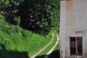 Terreni Boschivi Valli Del Pasubio