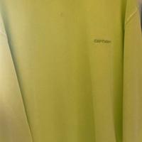 Felpa Carhartt DUSTER SCRIPT - arctic lime