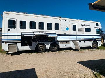 Van trasporto cavalli