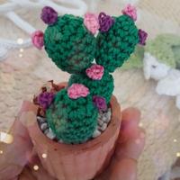 Piantina a uncinetto