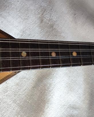 Violino Napoletano primi "900"