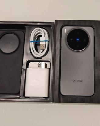 Vivo X300 