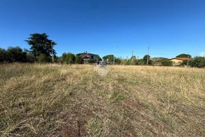 TER. AGRICOLO A SAN CESAREO