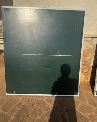 Tavolo da ping-pong