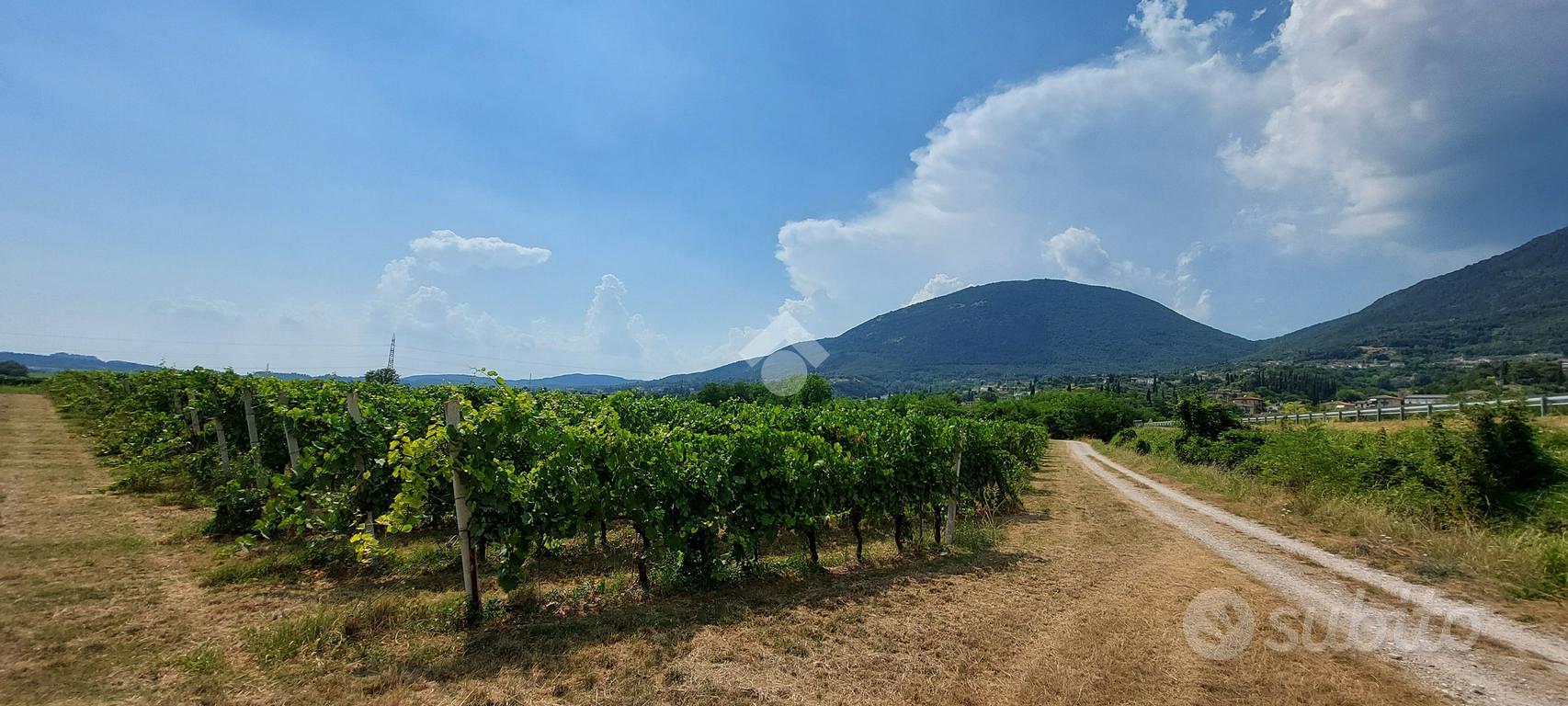 TER. AGRICOLO A CAPRINO VERONESE - Vista 4