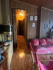 Camigliatello silano nei boschimansarda panoramica