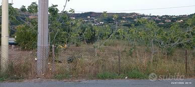 Terreno agricolo zona Moio Agropoli
