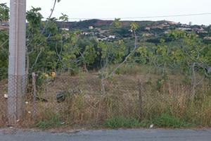 Terreno agricolo zona Moio Agropoli
