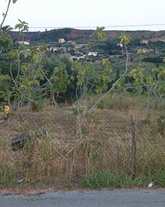 Terreno agricolo zona Moio Agropoli