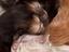 Immagine 5