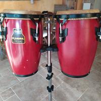 CONGUITAS MEINL 