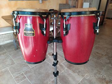 CONGUITAS MEINL 