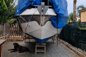 Blumax open 23 con motore mercury pro 40/60