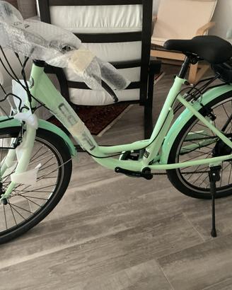 Bici elettrica