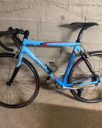 Wilier Triestina Team Edition