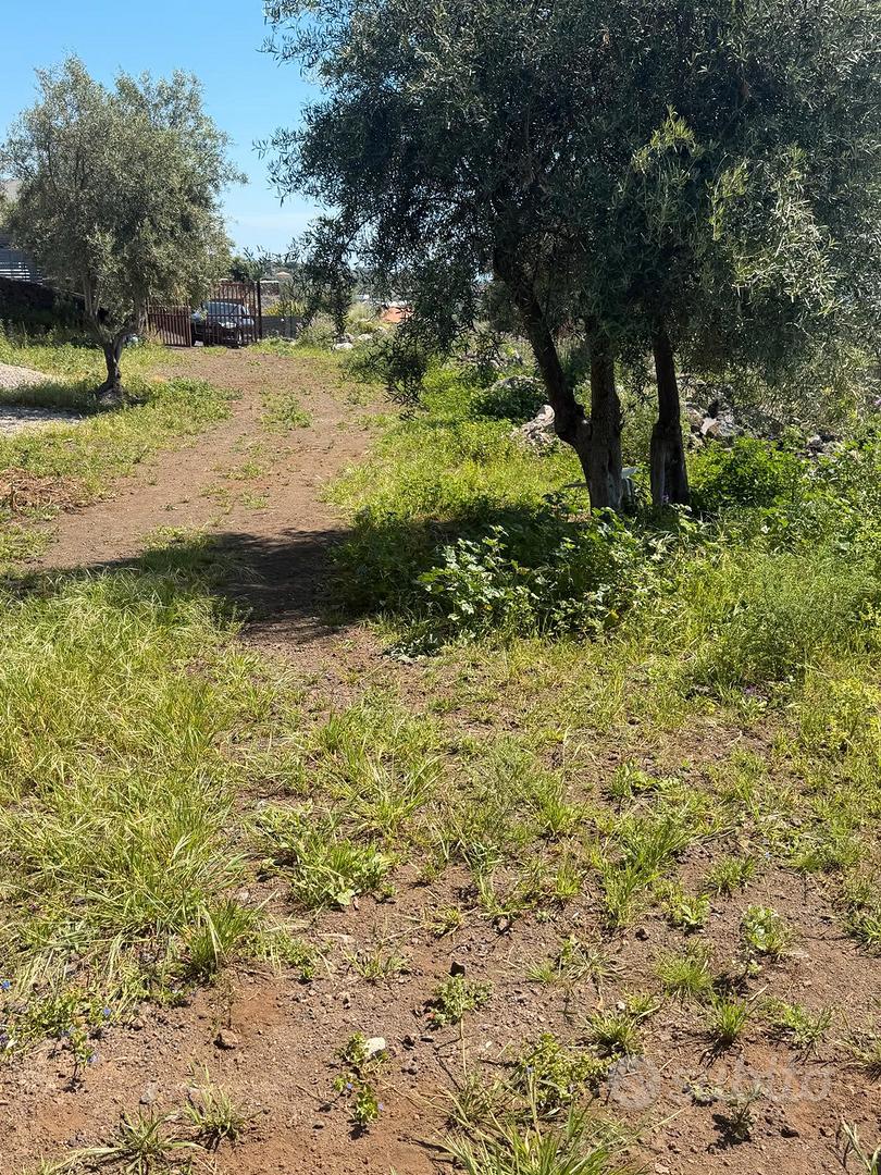 terreno Aci castello Cannizzaro - Vista 3