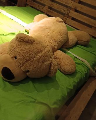 Peluche 