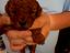 Immagine 2