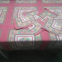 Tovaglia e tovaglioli tovaglia senza tovaglioli