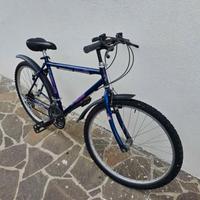 City bike colore blu