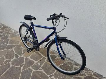 City bike colore blu