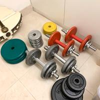 Lotto Palestra Pesi Manubri Asta Bilanciere Panca