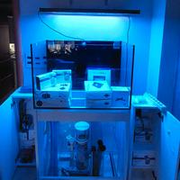 Acquario marino + accessori