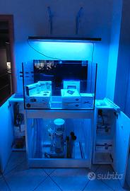 Acquario marino + accessori