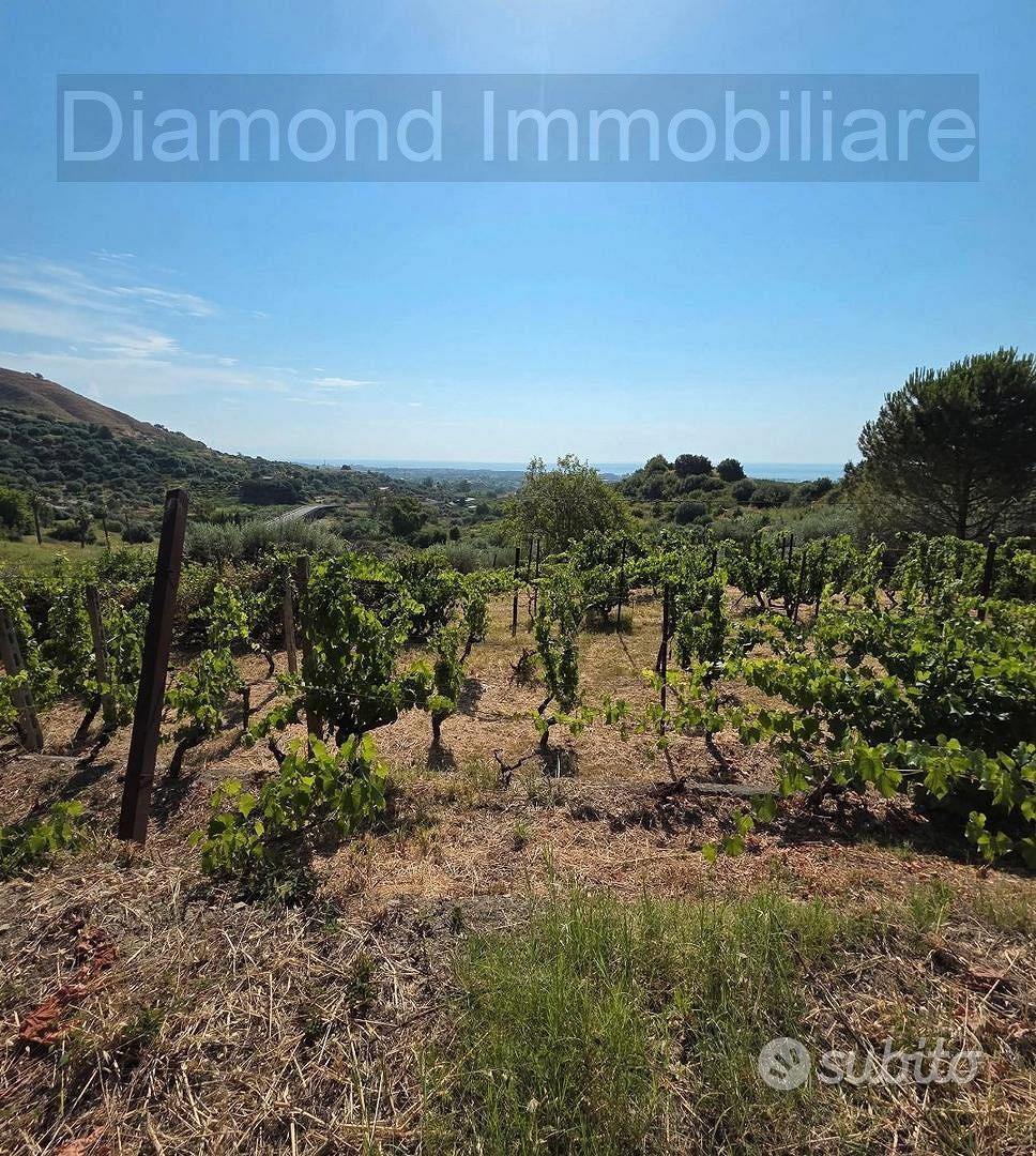Terreno agricolo vigneto e uliveto a Calatabiano - Vista 2