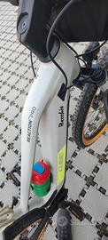 bicicletta elettrica 