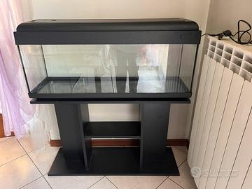 Acquario 100 litri