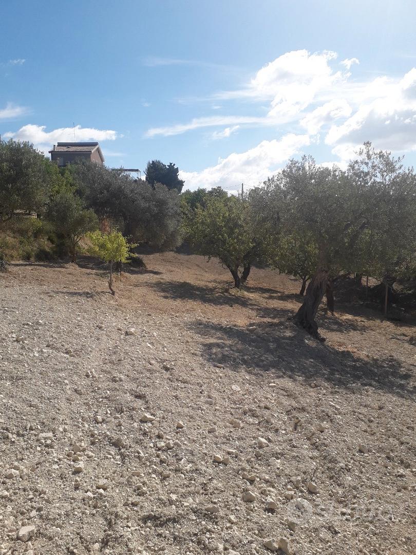 Terreno agricolo - Vista 4