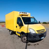 Iveco daily