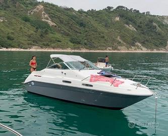 Sea Ray 7,5 Mt Cruiser Americana  5.7 Mercruiser 