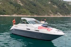 Sea Ray 7,5 Mt Cruiser Americana  5.7 Mercruiser 
