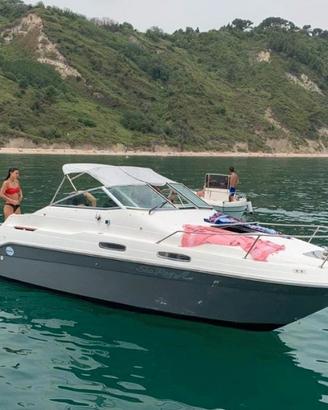 Sea Ray 7,5 Mt Cruiser Americana  5.7 Mercruiser 