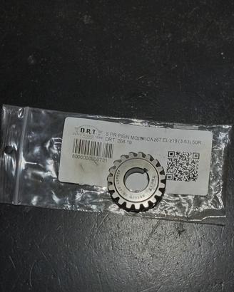 Pignone DRT  z19 denti
