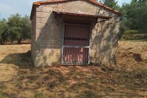 Terreno edificabile gia' servito da utenze