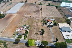 Terracina (LT) - Hermada - Terreno 1,5 HA | TR440