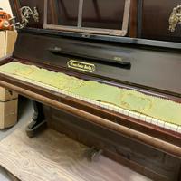 Pianoforte a coda franz seiler berlin