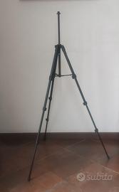 Cavalletto Tripod Matterport