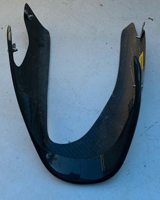 Puntale in carbonio per Ducati Monster s4r
