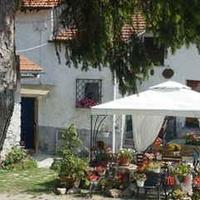 Casa semindipendente immersa nel verde