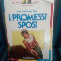 Alessandro Manzoni- i promessi sposi - fabbri