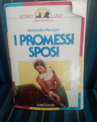 Alessandro Manzoni- i promessi sposi - fabbri