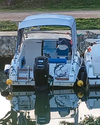 motore fuoribordo   nautico