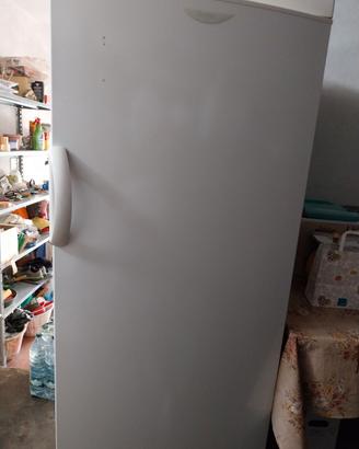 Vendi freezer a colonna Zoppas